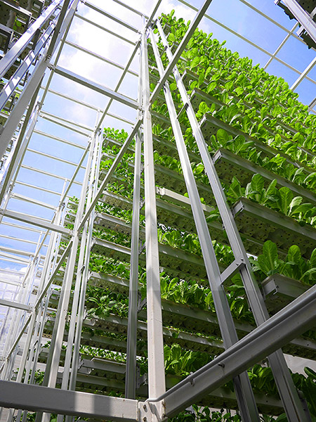 Skygreens agricultura vertical